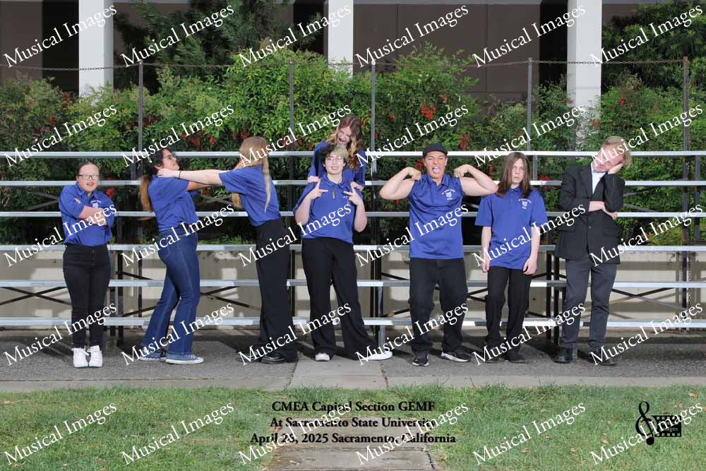 Musical Images